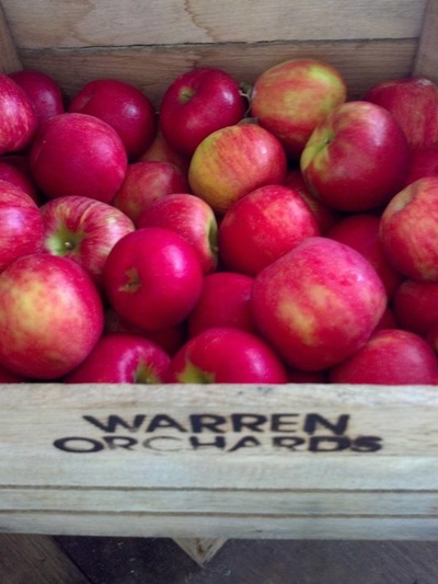 Wooden crate with "Warren Orchards" burned in the side filled with freshly picked apples